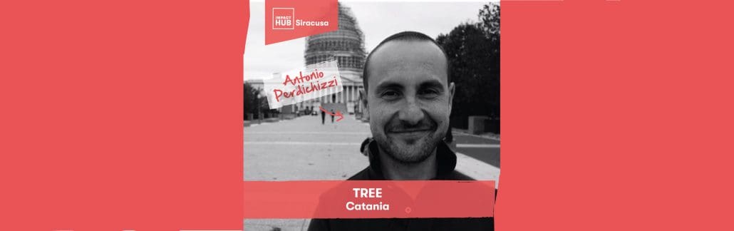 ANTONIO PERDICHIZZI - Tree, Catania
